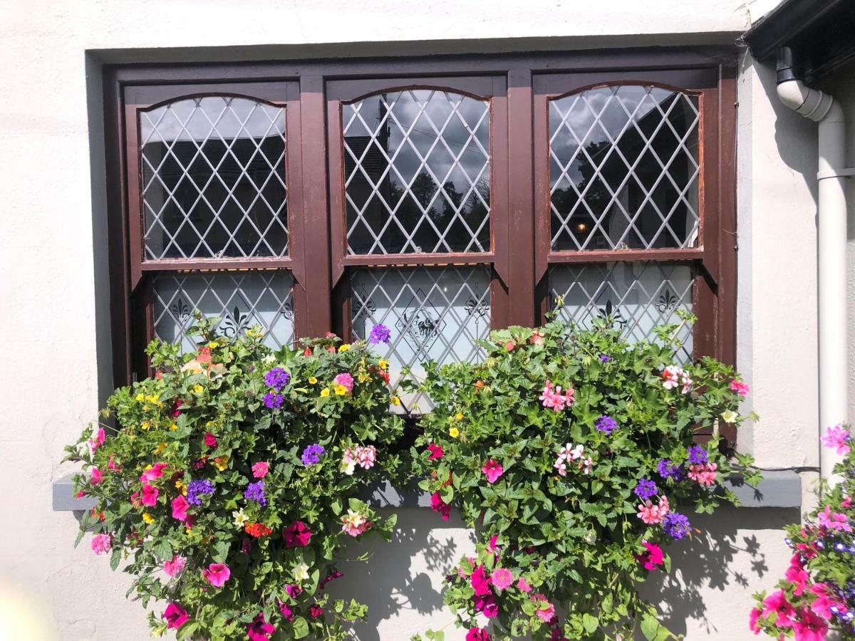 Chester Beatty Inn Ashford Eksteriør billede